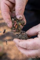 Korum Krmítko Slow Sinking Feeder (7)