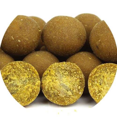 Imperial Baits boilies Carptrack Osmotic Oriental Spice
