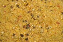 Mivardi Krmítková Zmes V1 Kapor Med 3 kg (3)