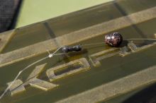 Korum Rychlovýmenné Korálky Camo Quick Change Bead (5)