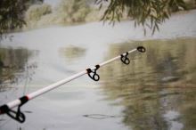 Sportex Prút Turbo Cat Boje 3,3 m 250-500 g (4)