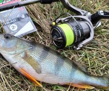 Intech First Splietaná Šnúra Braided Line Braid X8 Green 150 m (3)