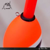 Rizov Plavák RF-164 (1)