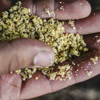 Munch Baits Stickmix Cream Seed 1 kg (3)