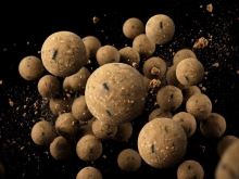 Delphin Vyvážené Boilies BreaX NutCAKE Tigrí Orech Scopex Kukurica 100 g (1)