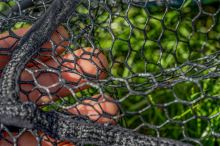 Preston Innovations Podberáková Hlava Monster XS Lift Net (10)