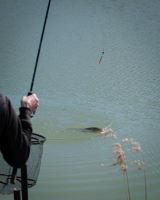 Matrix Plavák 12 mm Foam Pellet Waggler (13)