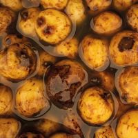 Nash Partikel Sweet Tiger Nut (1)