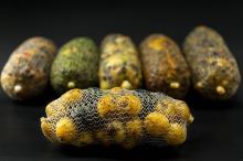 My-Baits Partikel Tigernut Mix "Three Kings" 2 l (3)