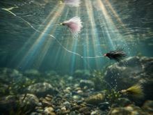 Delphin Sada Umelých mušiek FLY Wild Trout 10 ks (7)