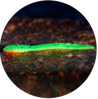 RedBass Gumová Nástraha Micro Tail Fluo Green RH UV COLOR