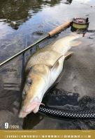 ČRS Nástenný Rybársky Kalendár Na Rok 2024 (9)