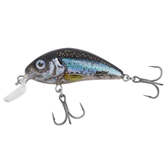 Salmo wobler rattlin hornet shallow runner clear holo smelt - 4,5 cm