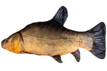 BeCare Vankúš Lieň Obecný XL 48 cm