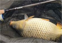 Sportex Prút Xclusive Feeder NT Light 3,3 m 80 g (7)