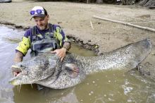 Black Cat Tričko Fishing Jersey UV (5)