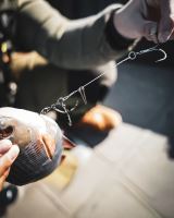 Savage Gear Gumová Nástraha 3D Line Thru Roach Sinking Rudd - 25 cm 216 g (2)