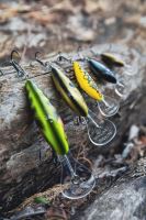 Salmo Wobler Hornet Sinking Real Identity Perch (5)