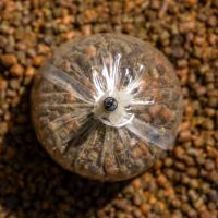 Avid Carp Sada Na Plnenie PVA Sáčkov Transfer Solid Bag System (4)