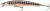 Daiwa Wobler Tournament Minnow Aurora Zebra