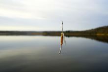 Zebco Rotačka Trophy Z-River Zlato Červená (5)