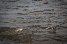 Matrix Krmítko Plastové Spodné Záťaž X-Small (9)