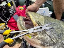 Black Cat Kliešte Silné S Dvojitým Kĺbom 33 cm (5)