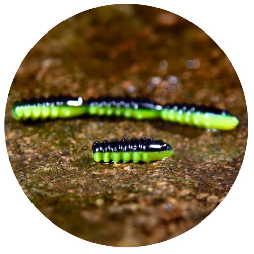 RedBass Gumová Nástraha Trout Grub Black/Signal Yellow UV COLOR - 3x25 mm