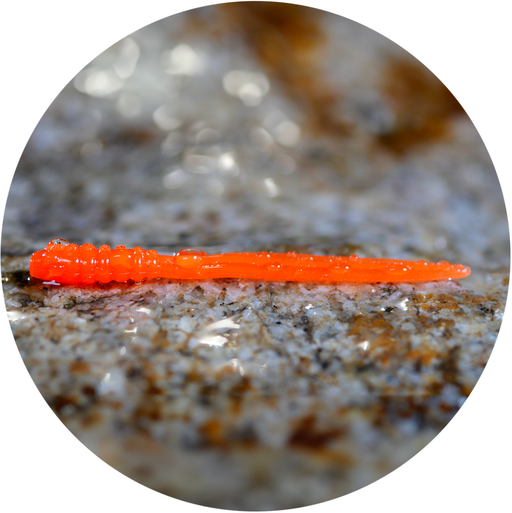 Redbass gumová nástraha micro tail signal orange uv color - xs 35 mm