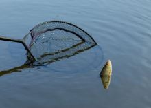 Browning Podberáková Hlava CK Competion Net 45x35x28 cm 8x8 mm (8)