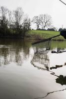 Preston Innovations Podberáková hlava Carbon Free Flow Landing Net (6)