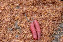 Preston Innovations Háčiky XFS-B Size (4)