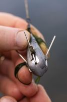 Korda Olovo pre Mapovanie Dna Grapple Lead 2 ks (5)