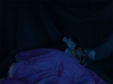 Delphin Spací Vak Queen (7)