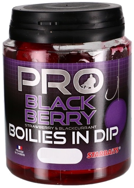 Starbaits boilies in dip probiotic blackberry 150 g - 20 mm