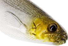 Westin Gumová Nástraha ShadTeez Bling Perch 9 cm 7 g 3 ks (4)