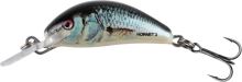 Salmo Wobler Hornet Sinking Real Dace - 2,5 cm 2,4 g