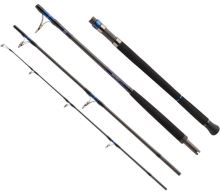 Daiwa Prút Saltiga AP 2,55 m 50-160 g