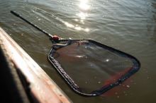 Fox Rage Podberák Speed Flow Folding Net (10)