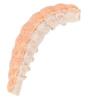 Berkley Gumová Nástraha PowerBait Power Honey Worm 2,5 cm 55 ks Orange Pearl (1)