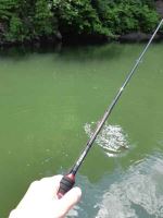 Sportex Prút Captor Spin 2,1 m 3-15 g (4)