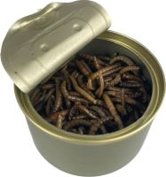 Carpway Mealworm Múčný Červ 35 g (1)