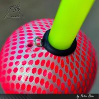 Rizov Plavák RF-166 (2)