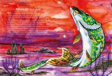 Kniha Šťuka Majdalenka a dúhová lopta (3)