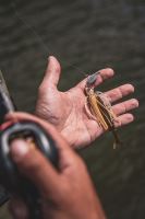 Fox Rage Rotačka Chatterbait Bladed Jig Hot Perch (2)