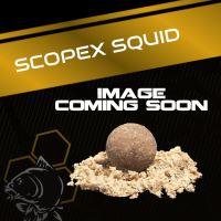 Nash Vyvážené Boilie Wafters Scopex Squid - 100 g 15 mm