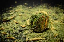 My-Baits Práškový Dip Alpha Dip "Fish Insect" 150 ml (3)