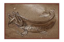 Delphin Rohožka Retro Šťuka