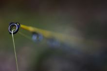 Black Cat Prút Solid Fun Yellow 1,7 m 30-180 g (8)