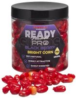 Starbaits Kukurica Bright Ready Seeds 250 ml (1)